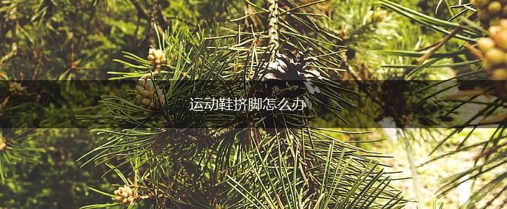 运动鞋挤脚怎么办,第1张