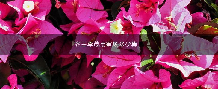 齐王李茂贞登场多少集,第1张