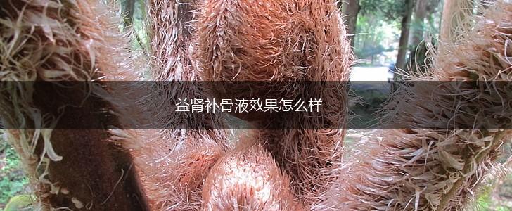 益肾补骨液效果怎么样,第1张