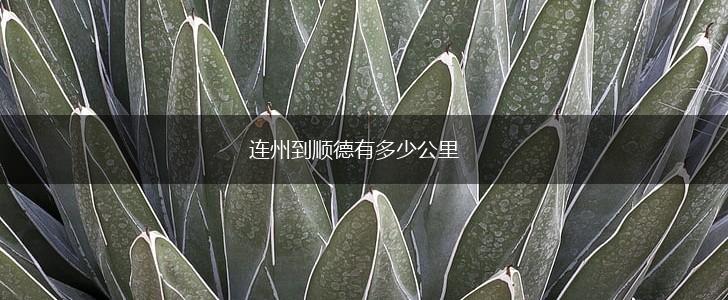 连州到顺德有多少公里,第1张