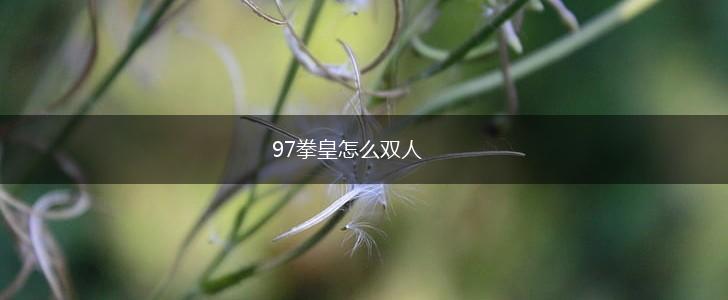 97拳皇怎么双人,第1张