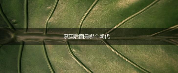 燕国后面是哪个朝代,第1张