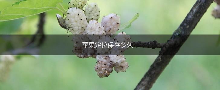 苹果定位保存多久,第1张