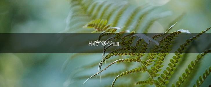 桐字多少画,第1张