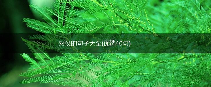 对仗的句子大全(优选40句),第1张