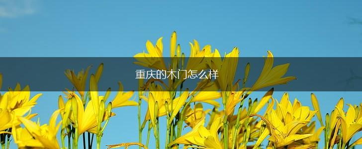 重庆的木门怎么样,第1张