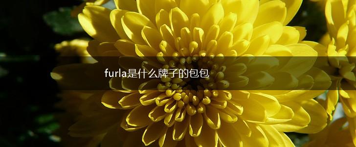 furla是什么牌子的包包,第1张