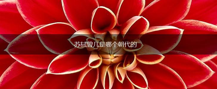 苏轼曾几是哪个朝代的,第1张