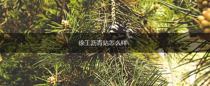 徐工沥青站怎么样,第1张