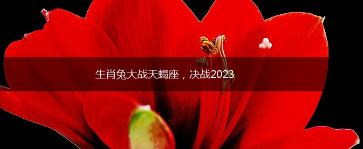 生肖兔大战天蝎座，决战2023,第1张