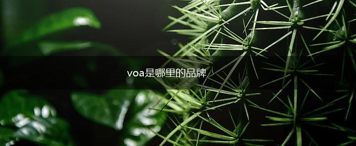 voa是哪里的品牌,第1张