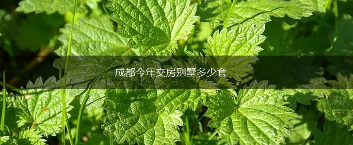 成都今年交房别墅多少套,第1张