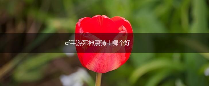 cf手游死神黑骑士哪个好,第1张