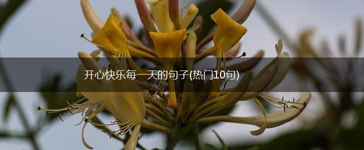 开心快乐每一天的句子(热门10句),第1张