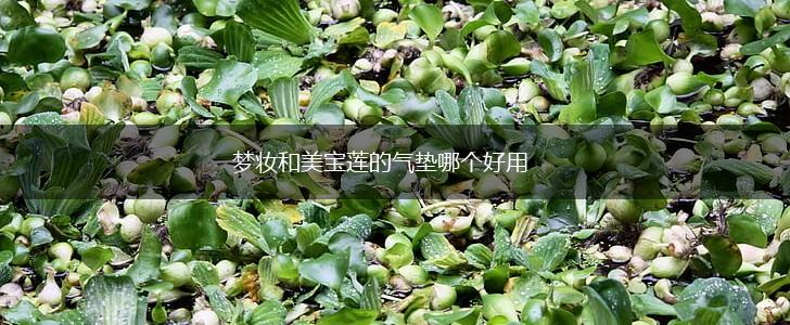 梦妆和美宝莲的气垫哪个好用,第1张