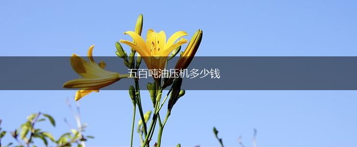 五百吨油压机多少钱,第1张