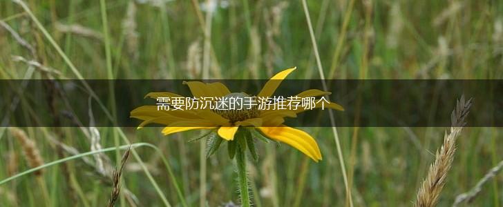 需要防沉迷的手游推荐哪个,第1张