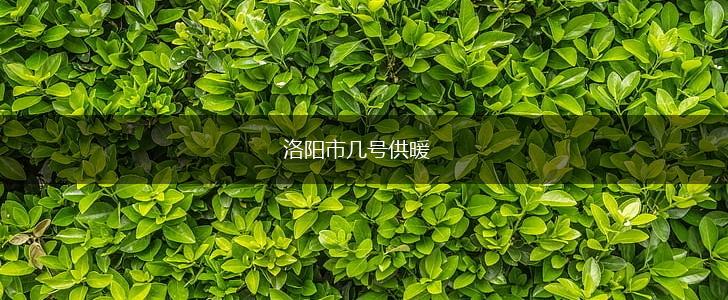 洛阳市几号供暖,第1张