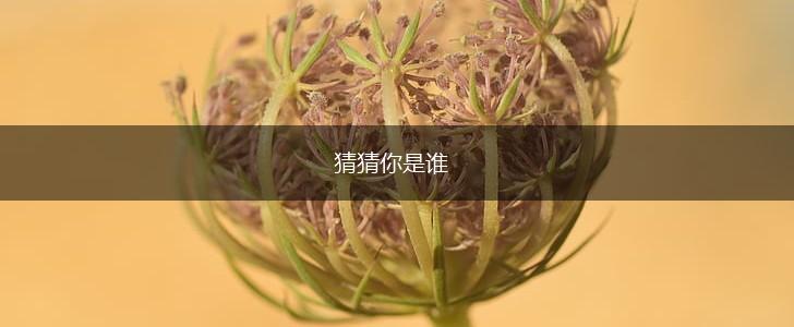 猜猜你是谁,第1张