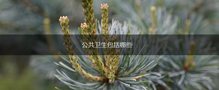 公共卫生包括哪些,第1张