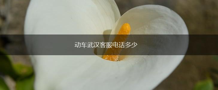 动车武汉客服电话多少,第1张