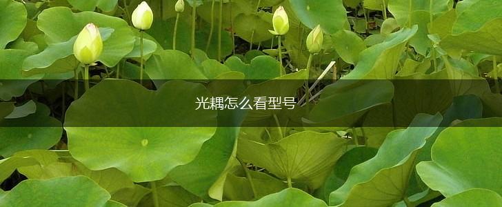 光耦怎么看型号,第1张