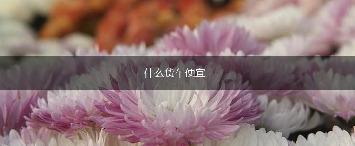 什么货车便宜,第1张