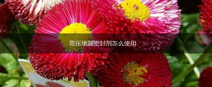 带压堵漏密封剂怎么使用,第1张