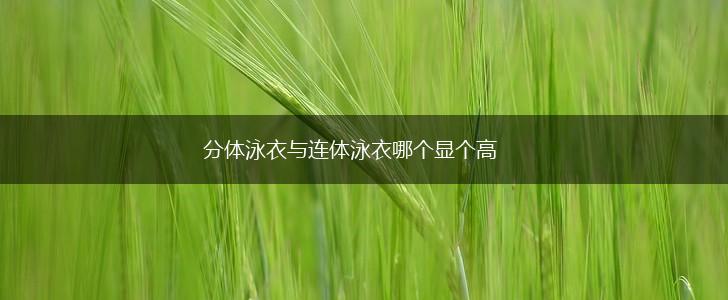 分体泳衣与连体泳衣哪个显个高,第1张