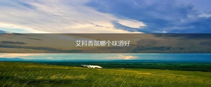 艾科香氛哪个味道好,第1张
