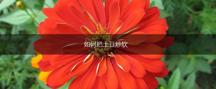 如何把土豆炒软,第1张
