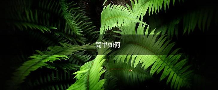 简书如何,第1张