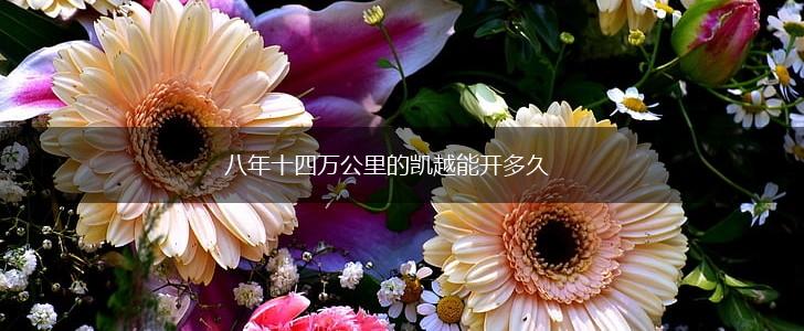 八年十四万公里的凯越能开多久,第1张