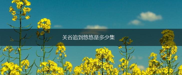关谷追到悠悠是多少集,第1张