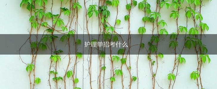 护理单招考什么,第1张
