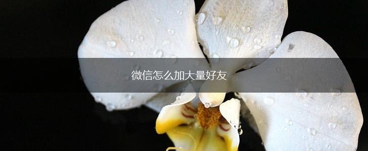 微信怎么加大量好友,第1张