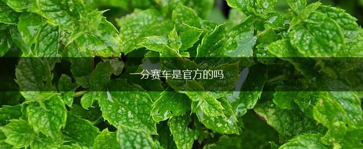 一分赛车是官方的吗,第1张