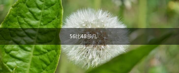 56比48多几,第1张