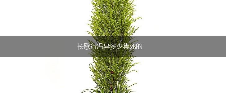 长歌行冯异多少集死的,第1张