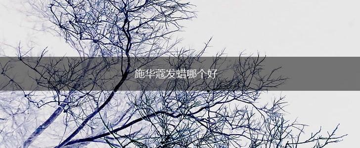 施华蔻发蜡哪个好,第1张