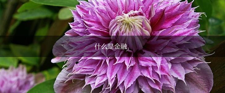 什么是金融,第1张