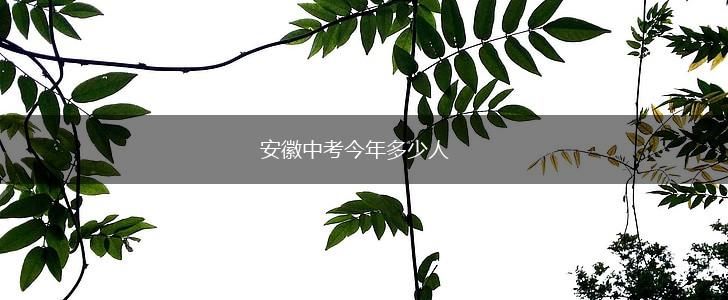 安徽中考今年多少人,第1张