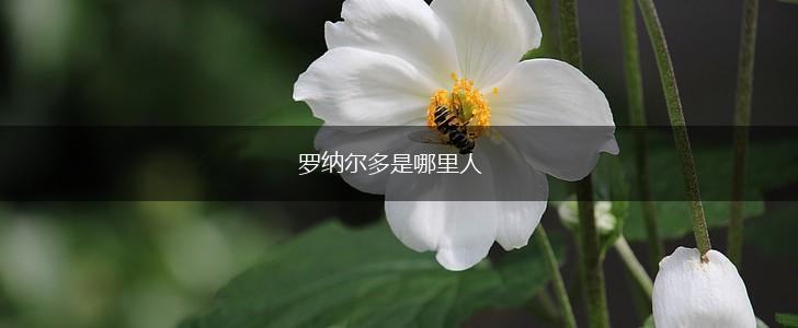 罗纳尔多是哪里人,第1张