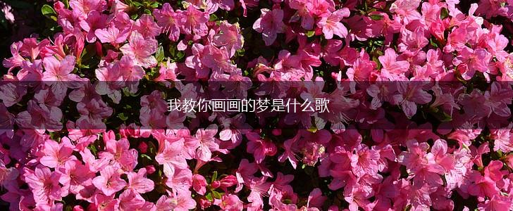 我教你画画的梦是什么歌,第1张