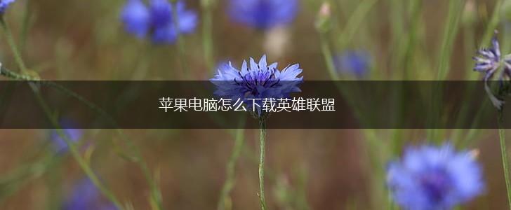 苹果电脑怎么下载英雄联盟,第1张