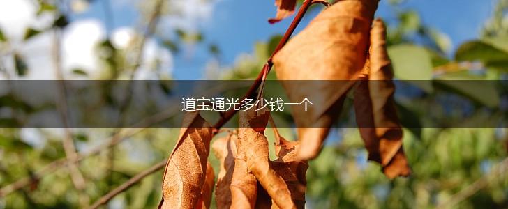 道宝通光多少钱一个,第1张