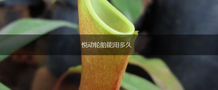 悦动轮胎能用多久,第1张