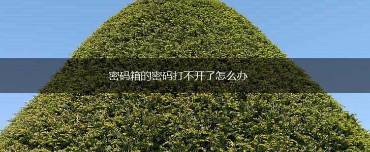 密码箱的密码打不开了怎么办,第1张