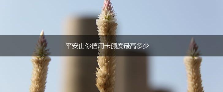 平安由你信用卡额度最高多少,第1张