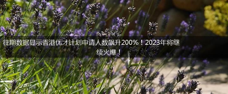 往期数据显示香港优才计划申请人数飙升200%！2023年将继续火爆！,第1张